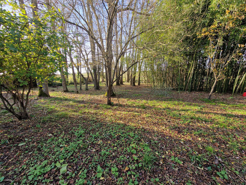 Maison de maîtres - 340 m² - 11 pièces