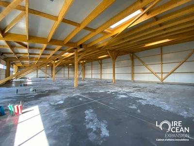 Entrepôt - 1 145 m²