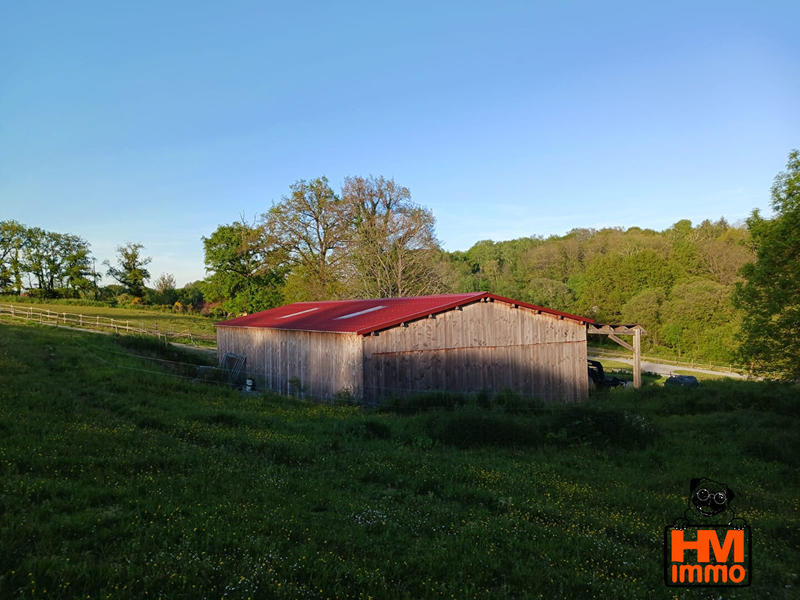 Loft - 200 m² - 5 pièces