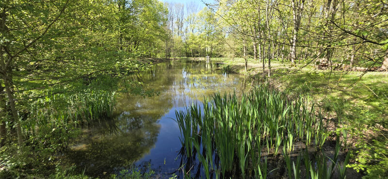 Maison - 205 m² - 5 pièces