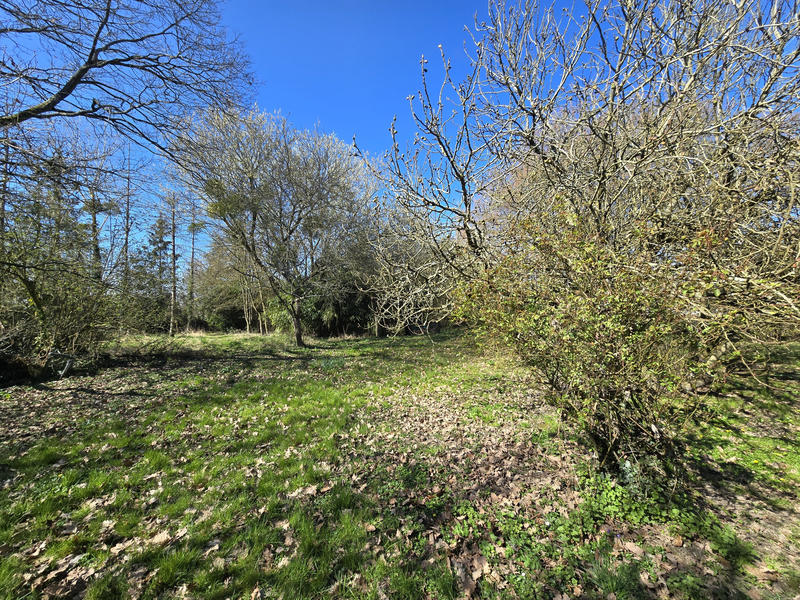 Maison de village - 152 m² - 5 pièces