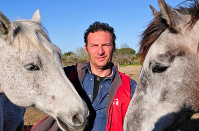 Promenade à cheval la Cavale Rte départementale 38 direction Aigues-Mortes Plage du Grand radeau.