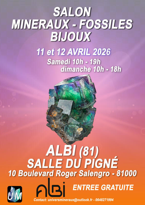 Bourse minéraux - fossiles - bijoux de créateurs