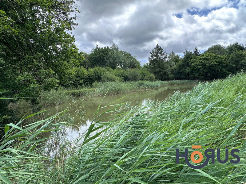 Viager - Maison - 205 m² - 9 pièces