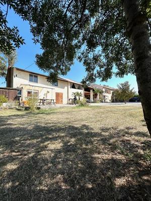 Mas - 259 m² - 12 pièces