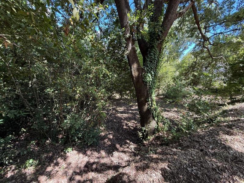 Appartement - 89 m² - 3 pièces