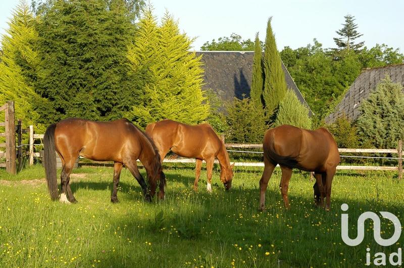 Maison - 350 m² - 6 pièces