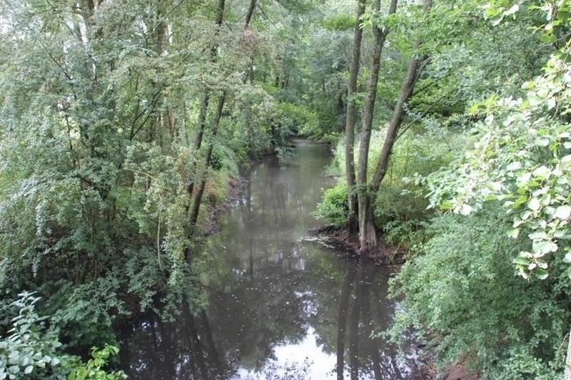 Sortie nature : les ailes de la nuit