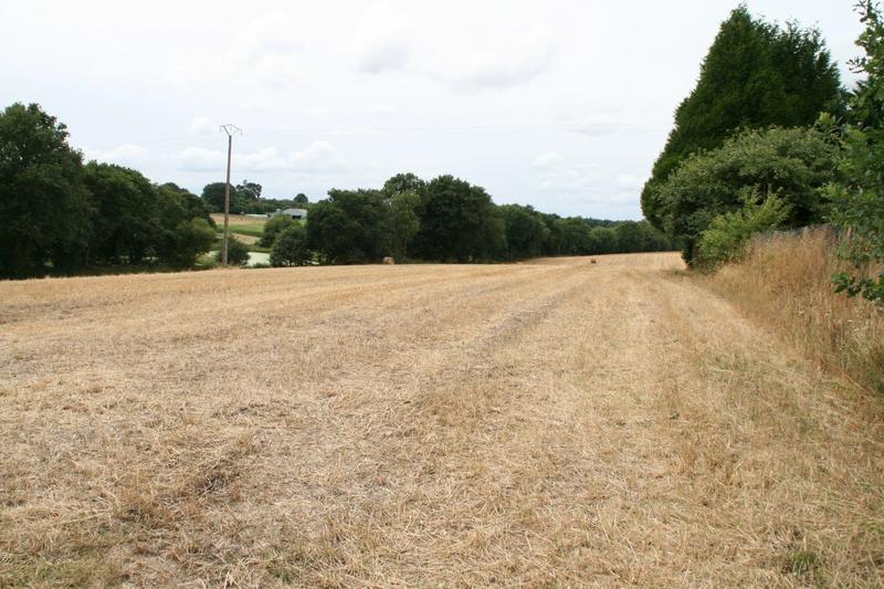 Terrain - 22 800 m²