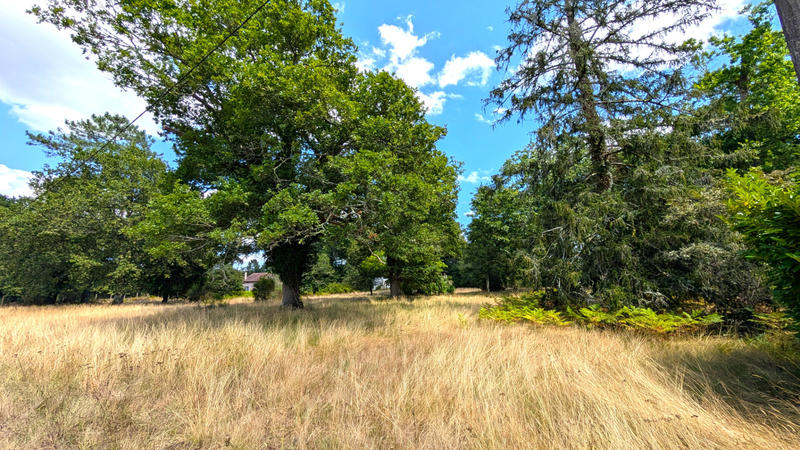 Maison - 200 m² - 4 pièces