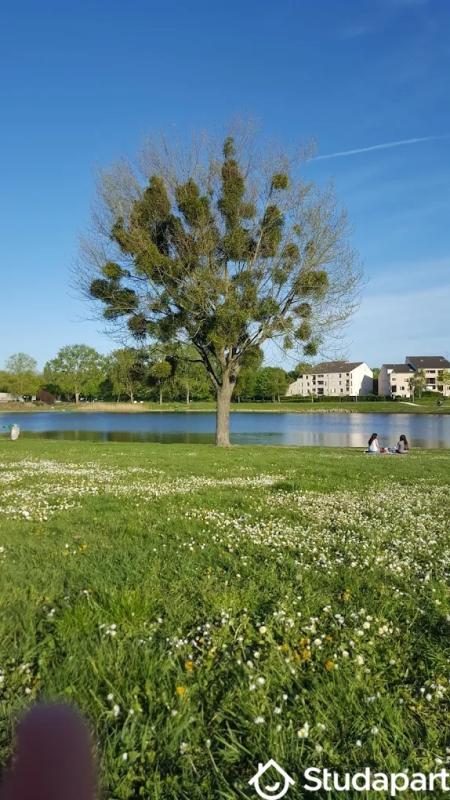 Chambre - 20 m² - 1 pièce