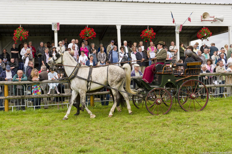 Concours d'Attelage
