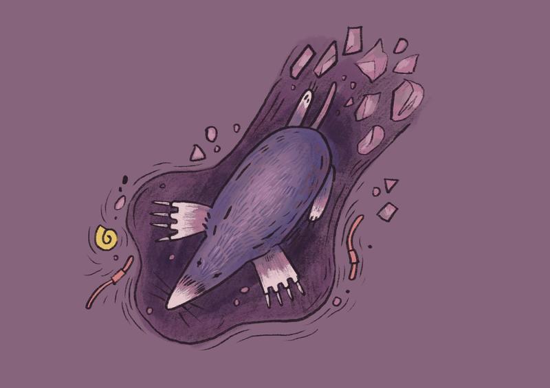 Atelier - la vie sous nos pieds