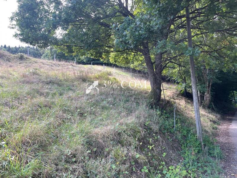 Ferme - 180 m² - 4 pièces