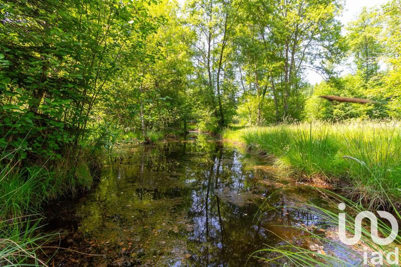 Terrain - 39 973 m²