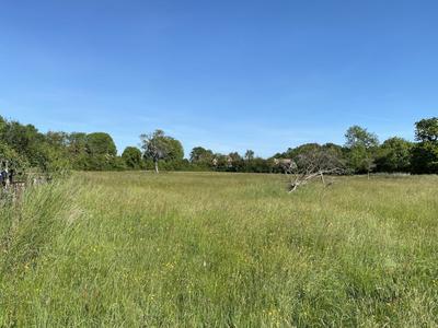 Terrain constructible - 799 m²