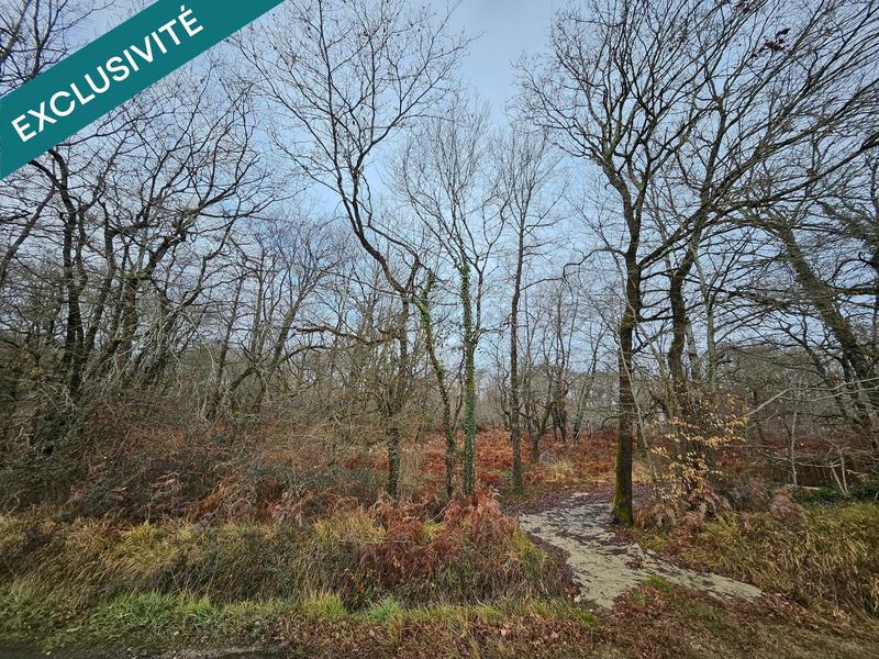 Terrain agricole - 9 570 m²