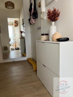 Appartement - 53 m² - 2 pièces