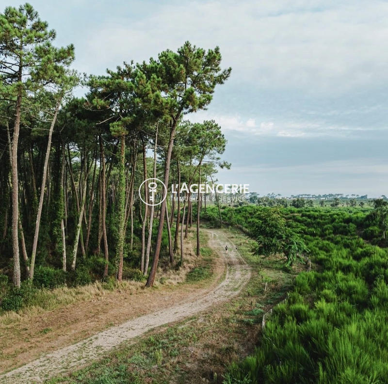 Maison - 127 m² - 4 pièces