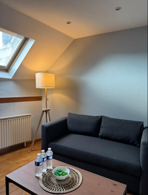 Appartement ancien - 43 m² - 1 pièce