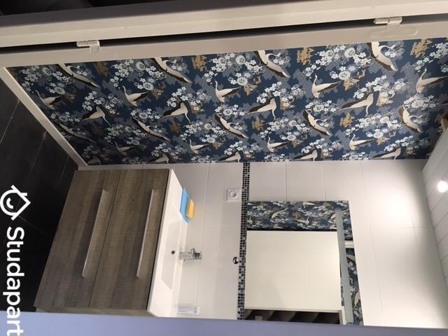 Chambre - 9 m² - 1 pièce