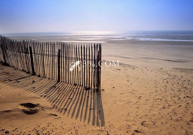 Studio - 30 m² - 1 pièce