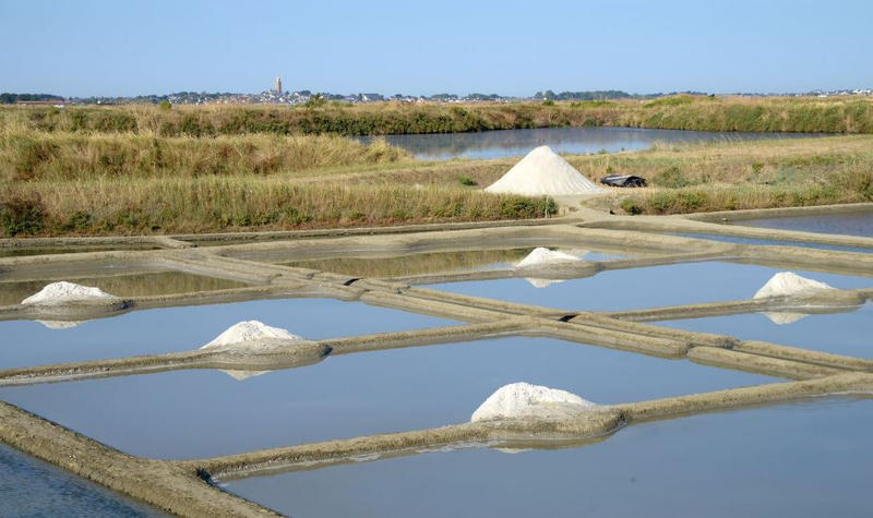 Villa - 100 m² - 4 pièces