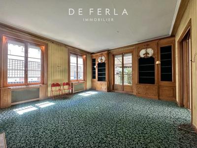 Hôtel particulier - 470 m² - 14 pièces