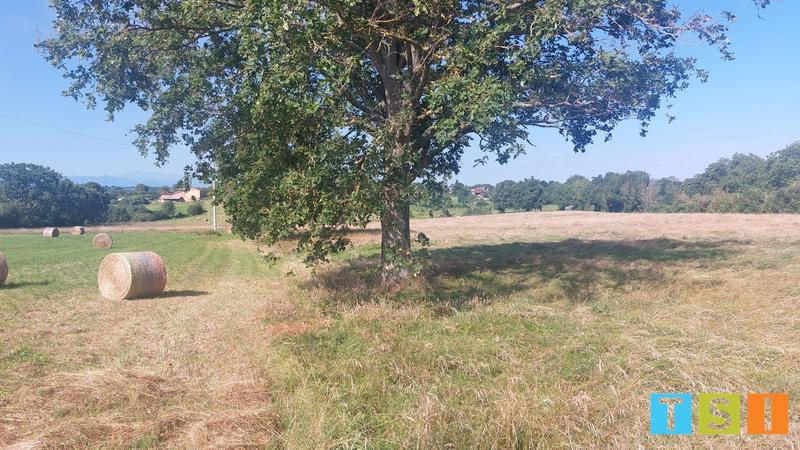 Terrain constructible - 5 820 m²