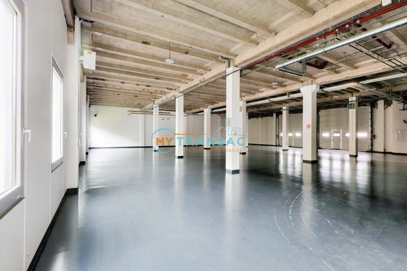 Local d'activité / Entrepôt - 1 077 m²