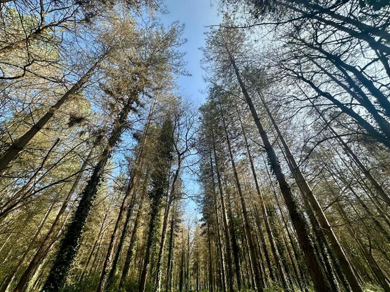 Maison - 109 m² - 4 pièces