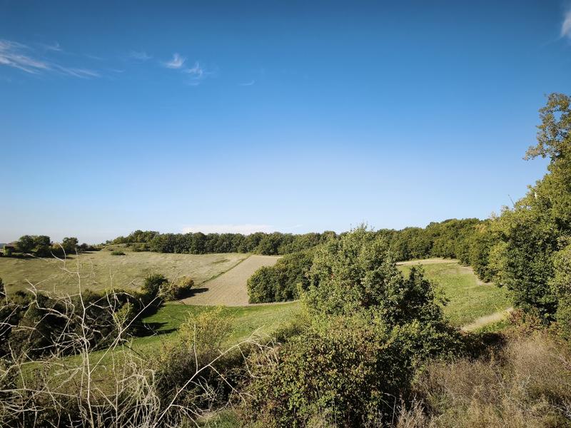 Terrain constructible - 7 424 m²