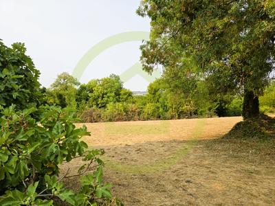 Terrain - 1 346 m²