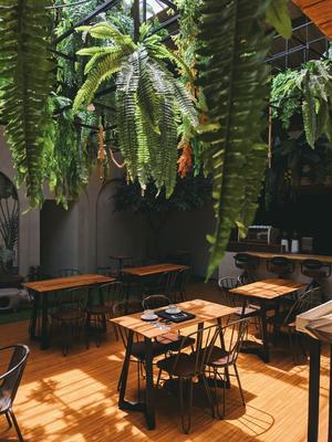 Fonds de commerce - 120 m²