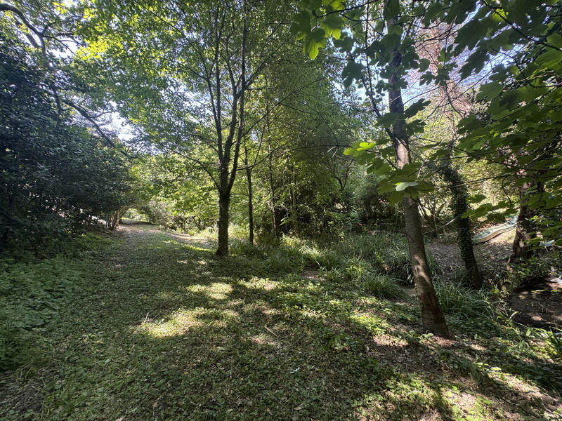 Maison - 325 m² - 11 pièces