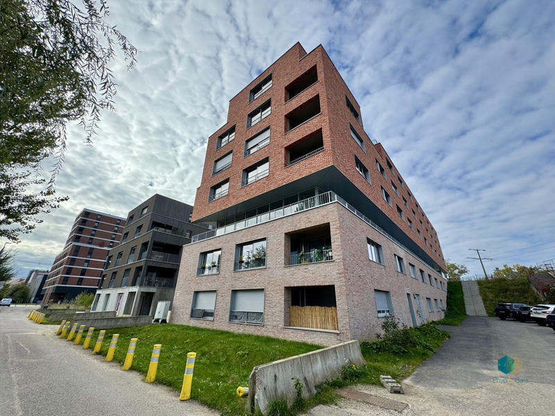 Appartement - 80 m² - 3 pièces