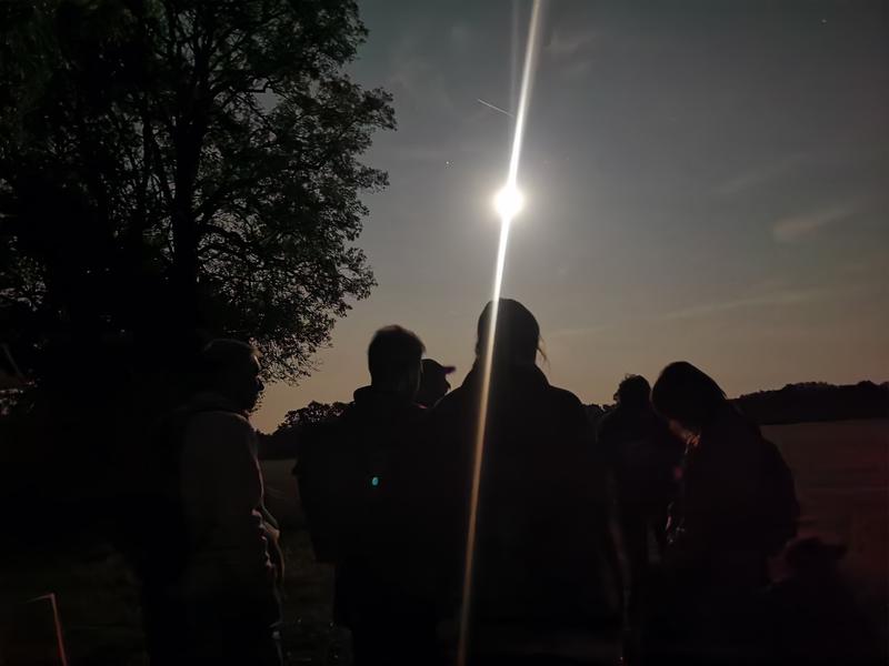 Balade au crépuscule