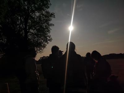 Balade au crépuscule