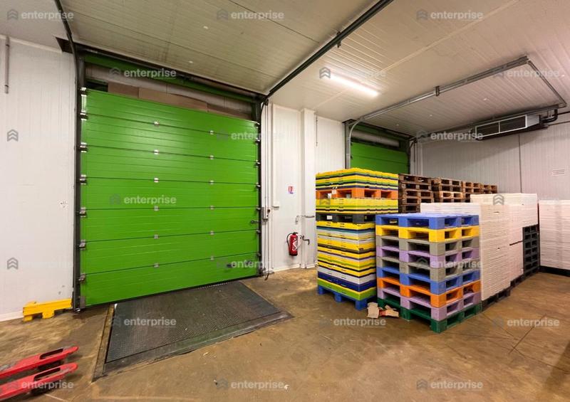 Local d'activité / Entrepôt - 2 000 m²
