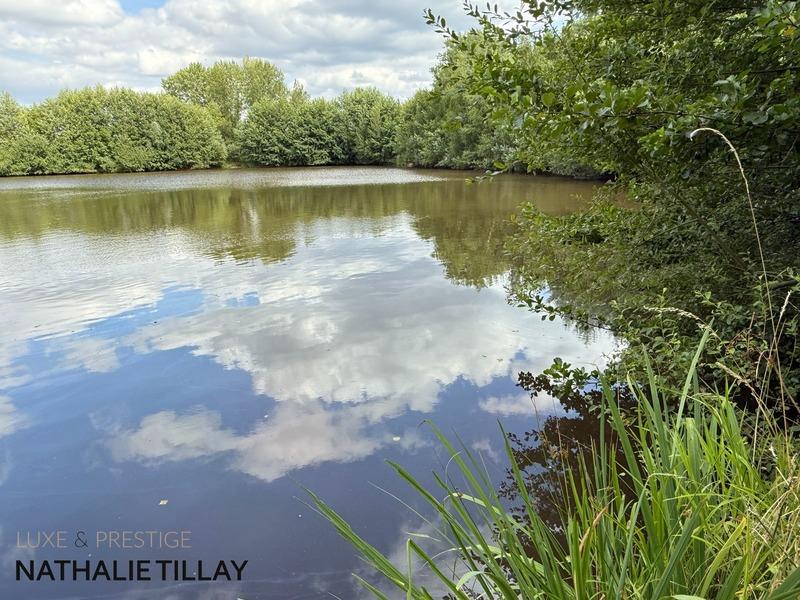 Maison de maîtres - 365 m² - 12 pièces