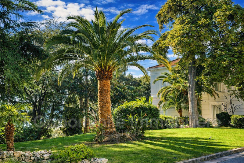 Appartement - 27 m² - 2 pièces