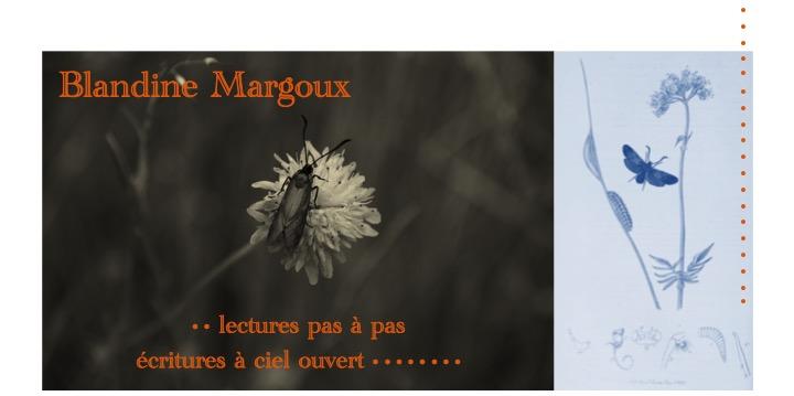 De lumière et de feuillage • Atelier d'écriture créative