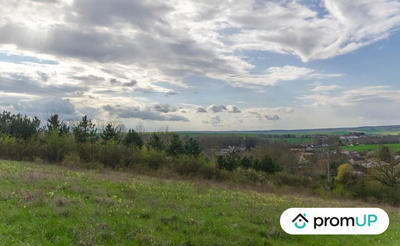 Terrain - 16 000 m²