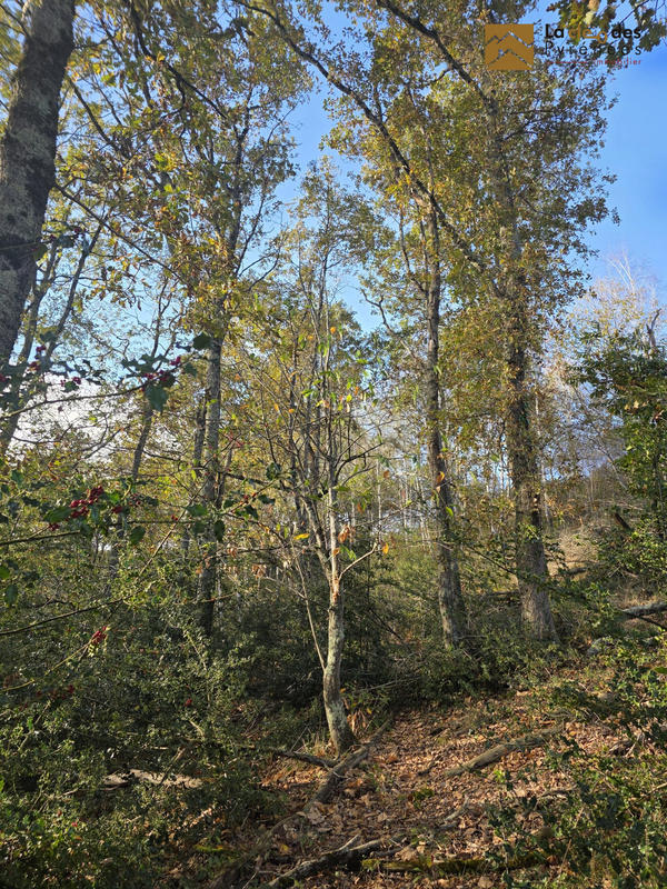 Maison ancienne - 61 m² - 2 pièces