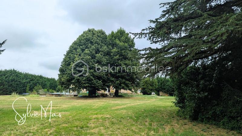 Maison de maîtres - 264 m² - 8 pièces