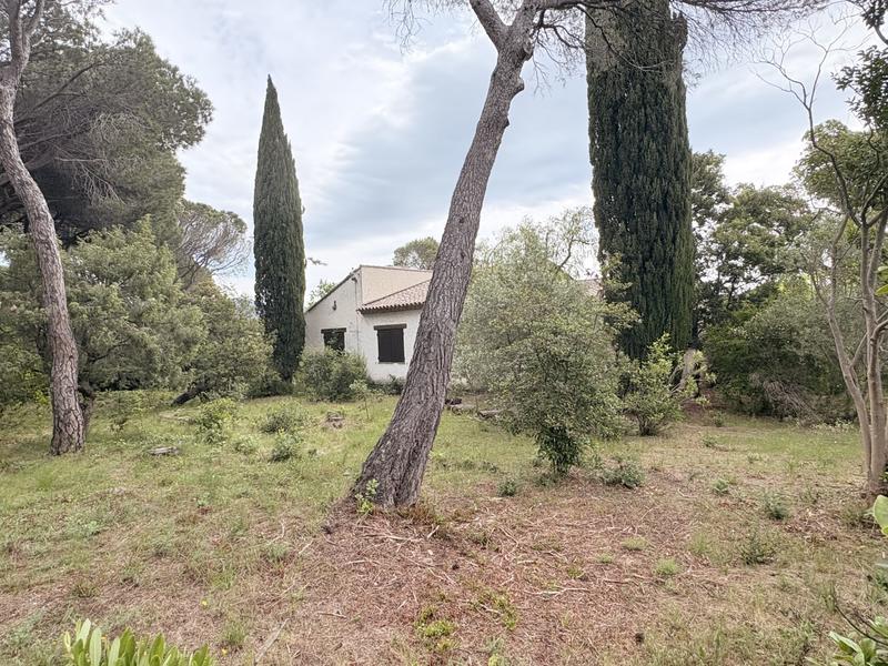 Maison ancienne - 200 m² - 6 pièces