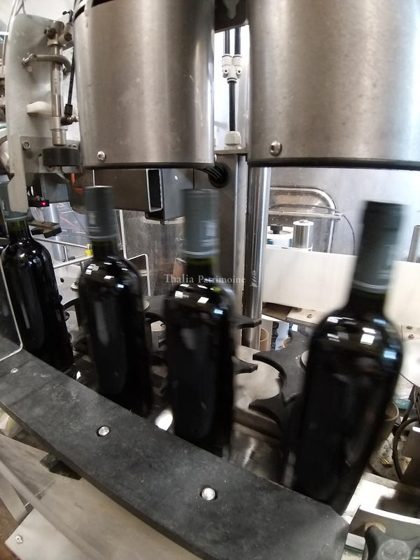 Fonds de commerce - Magasins - 1 m²