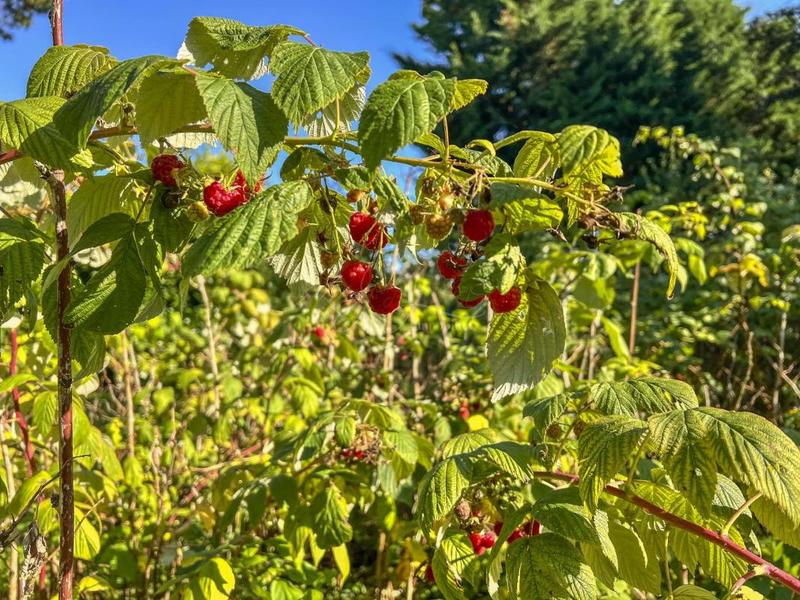 Maison de village - 294 m² - 15 pièces