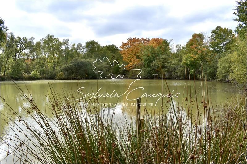 Propriété - 1 060 m² - 16 pièces