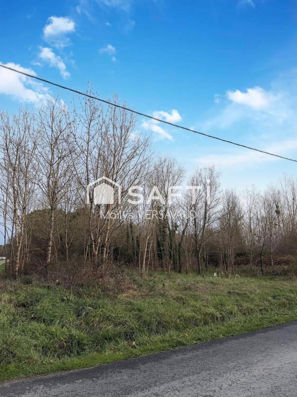 Terrain - 7 419 m²